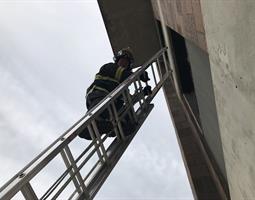Ladder