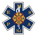 PEMSA Logo