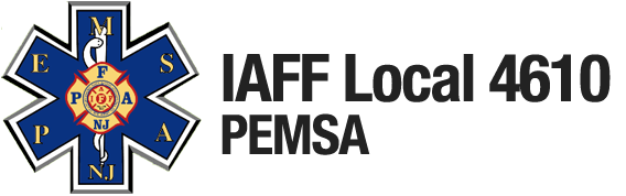 PEMSA logo